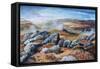 Langdales Top, Cumbria, 2008-Trevor Neal-Framed Stretched Canvas