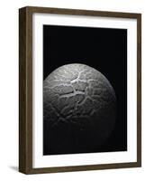 Langermannia Gigantea (Giant Puffball)-Paul Starosta-Framed Photographic Print