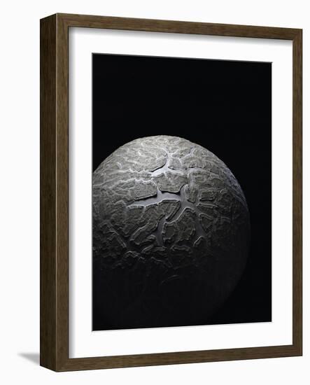 Langermannia Gigantea (Giant Puffball)-Paul Starosta-Framed Photographic Print