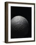 Langermannia Gigantea (Giant Puffball)-Paul Starosta-Framed Photographic Print