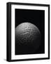 Langermannia Gigantea (Giant Puffball)-Paul Starosta-Framed Photographic Print