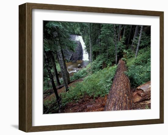 Langfield Falls, Gifford Pinchot National Forest, Washington, USA-William Sutton-Framed Photographic Print