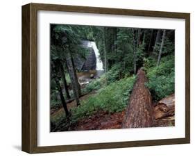 Langfield Falls, Gifford Pinchot National Forest, Washington, USA-William Sutton-Framed Photographic Print