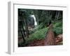 Langfield Falls, Gifford Pinchot National Forest, Washington, USA-William Sutton-Framed Photographic Print