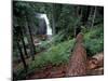 Langfield Falls, Gifford Pinchot National Forest, Washington, USA-William Sutton-Mounted Photographic Print