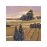 Sunset Cypress-Langford-Framed Giclee Print