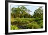 Lango Bai. Odzala-Kokoua National Park. Congo-Roger De La Harpe-Framed Photographic Print