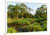 Lango Bai. Odzala-Kokoua National Park. Congo-Roger De La Harpe-Framed Photographic Print