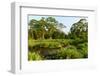 Lango Bai. Odzala-Kokoua National Park. Congo-Roger De La Harpe-Framed Photographic Print