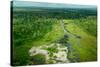 Lango Bai. Odzala-Kokoua National Park. Congo-Roger De La Harpe-Stretched Canvas