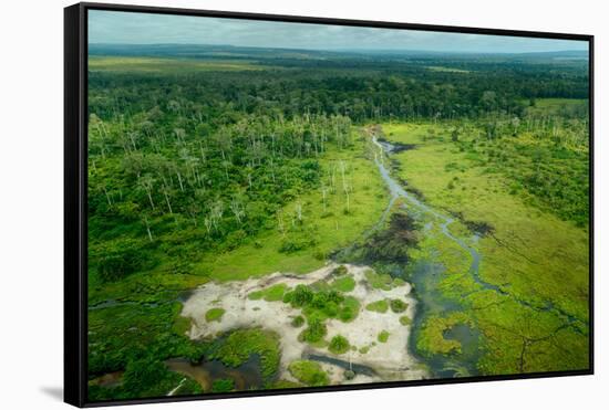 Lango Bai. Odzala-Kokoua National Park. Congo-Roger De La Harpe-Framed Stretched Canvas