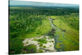 Lango Bai. Odzala-Kokoua National Park. Congo-Roger De La Harpe-Stretched Canvas