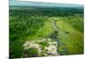 Lango Bai. Odzala-Kokoua National Park. Congo-Roger De La Harpe-Mounted Premium Photographic Print