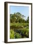 Lango Bai. Odzala-Kokoua National Park. Congo-Roger De La Harpe-Framed Photographic Print