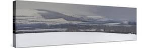 Langorse Lake in Snow January-Tom Hughes-Stretched Canvas