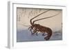 Langouste-Ando Hiroshige-Framed Giclee Print