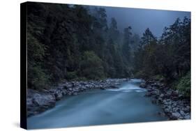 Langtang Khola near village of Riverside on misty evening in Langtang region of Nepal, Himalayas-Alex Treadway-Stretched Canvas