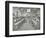 Language Lesson on Daffodils at Oak Lodge School for Deaf Girls, London, 1908-null-Framed Photographic Print