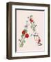 Language of Flowers A-Cody Alice Moore-Framed Art Print