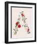 Language of Flowers A-Cody Alice Moore-Framed Art Print