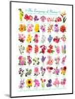 Language of Flowers-null-Mounted Art Print