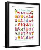 Language of Flowers-null-Framed Art Print