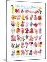 Language of Flowers-null-Mounted Art Print