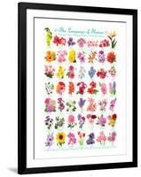 Language of Flowers-null-Framed Art Print