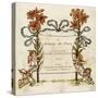 Language of Flowers-Kate Greenaway-Stretched Canvas