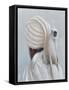 Langur Monkey-Lincoln Seligman-Framed Stretched Canvas