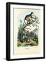 Langurs, 1863-79-Raimundo Petraroja-Framed Giclee Print