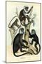 Langurs, 1863-79-Raimundo Petraroja-Mounted Giclee Print