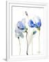 Gramercy White