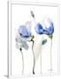 Gramercy White