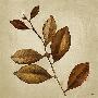 Laminate