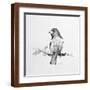 Brown Frame