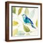 Brown Frame