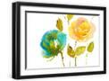Black Frame