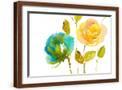Brown Frame