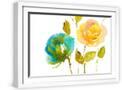 White Frame