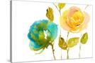 Stretched Canvas