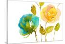 Stretched Canvas