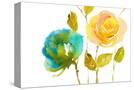 Stretched Canvas