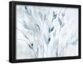 Essential Black