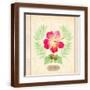 Brown Frame