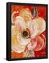 Essential Black