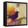 Canvas Black