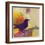 Brown Frame