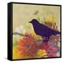 Canvas Black