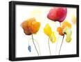Essential Black